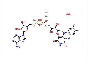 Flavin Adenine Dinucleotide Dinatriumzout Hydraat CAS 84366-81-4