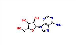 Adenosine CAS 58-61-7